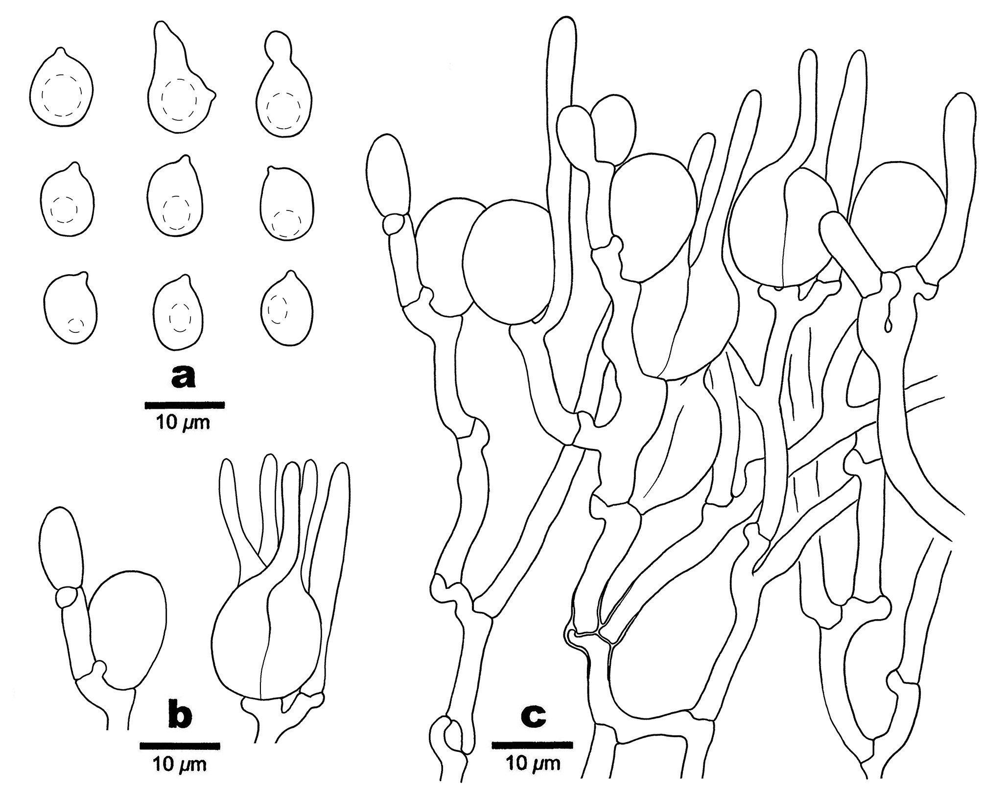Figure 89